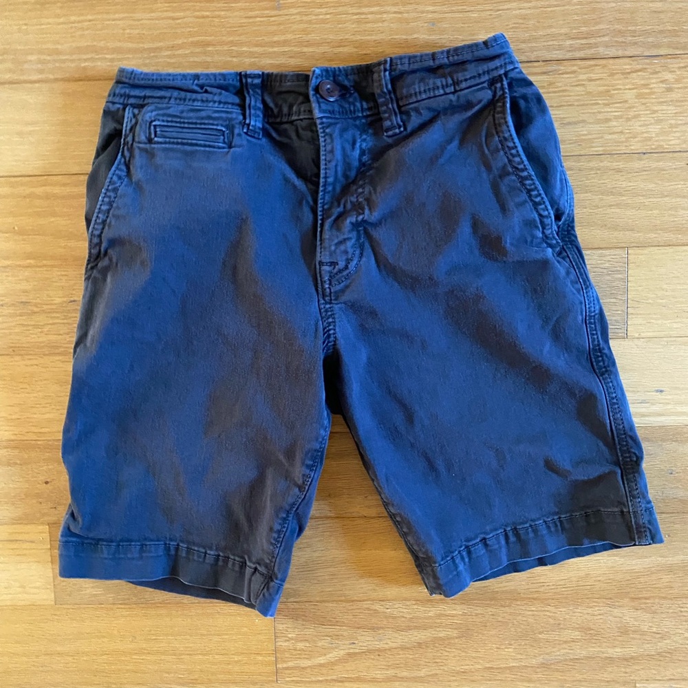 American Eagle Outfitters Blue Flat Front Shorts
